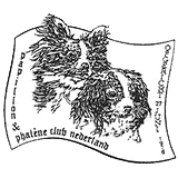 Papillon en Phalène club Nederland